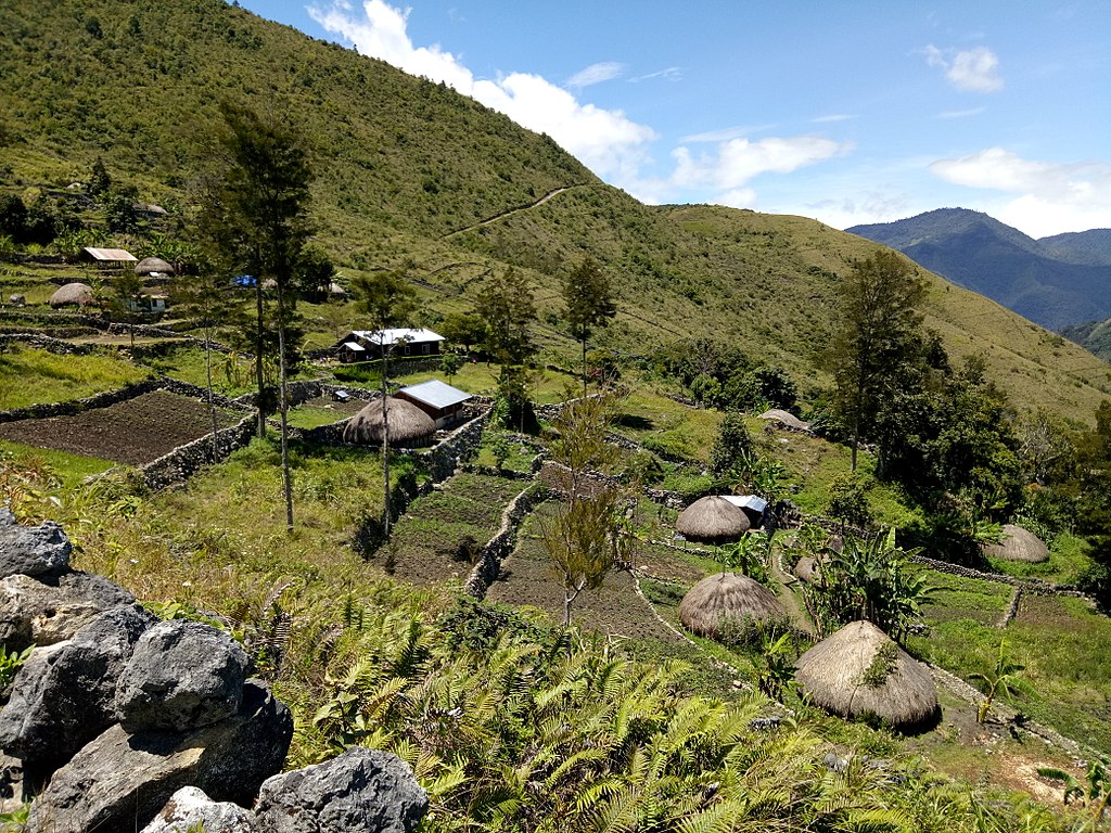 Lembah Baliem | Wikimedia Commons