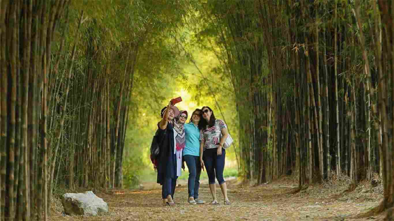 Wisata Surabaya Hutan Bambu Kemutih - Foto: pinhome.id