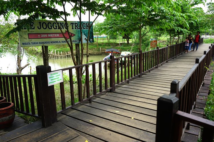 Fasilitas Hutan Wisata Mangrove Wonorejo Kota Surabaya GoodNews From Indonesia