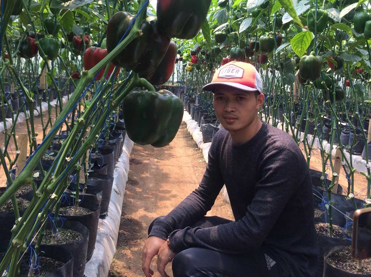 Wisnu Saepudin | Istimewa via jabarekspres.com