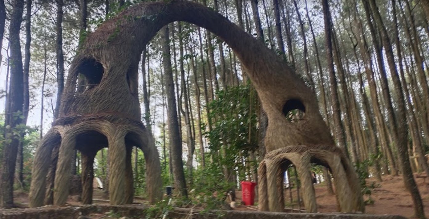 Hutan Pinus Pengger, Yogyakarta