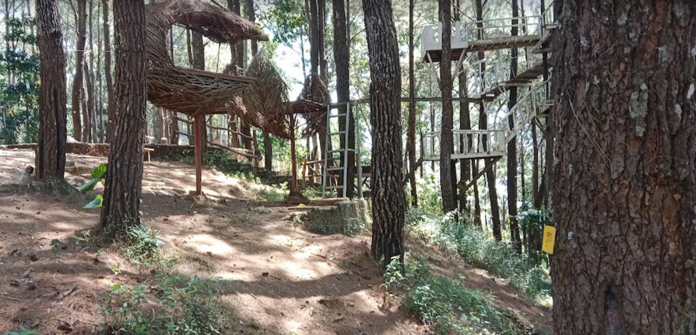 Puncak Pinus Becici, Yogyakarta