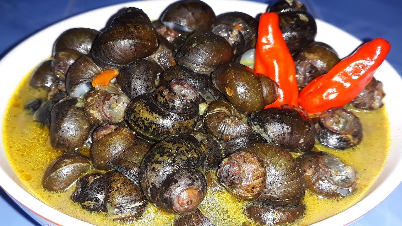 Kraca Keong Bumbu Kuning Makanan dan Kuliner Seafood Legend dari Pemalang Good News From Indonesia Kraca Keong Bumbu Kuning Makanan dan Kuliner Seafood Legend dari Pemalang
