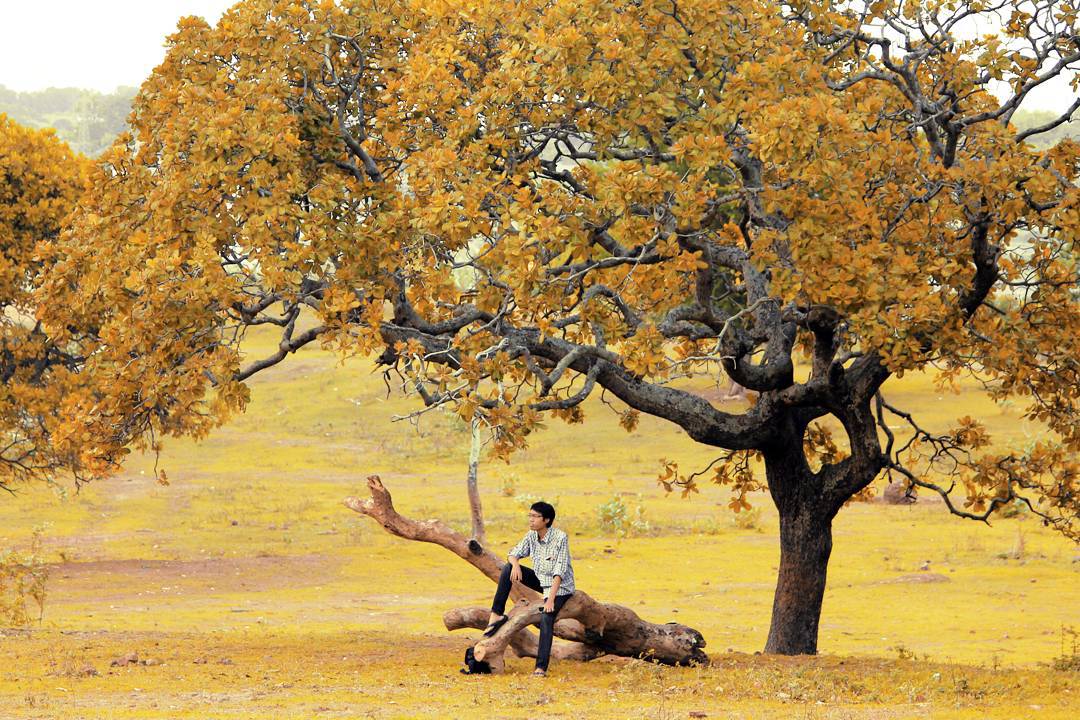 Bukit Diponegoro destinasi wisata alam perbukitan hidden gems di Kota Semarang