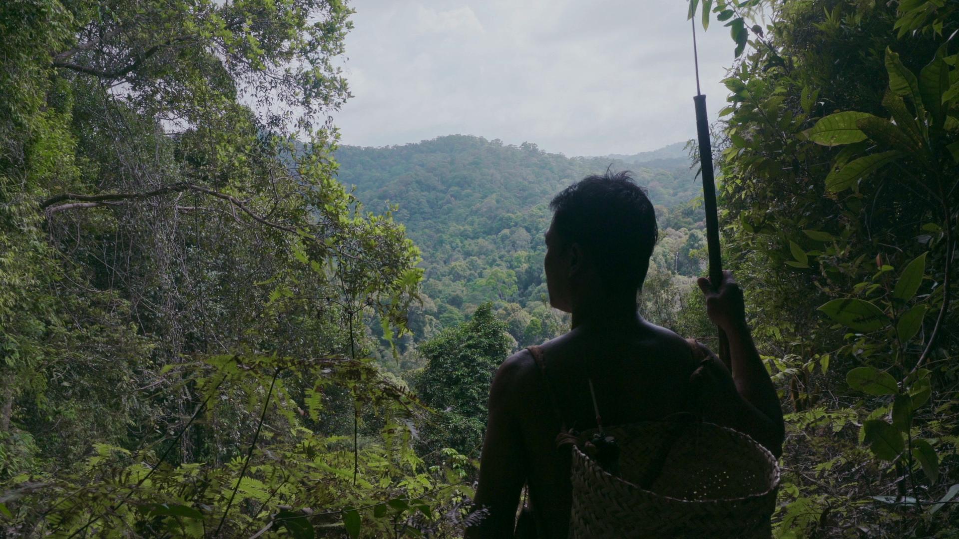 Potongan adegan film dokumenter Semesta | IMDb