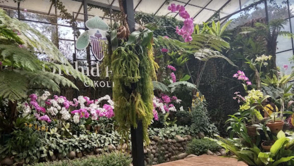 Orchid Forest Cikole