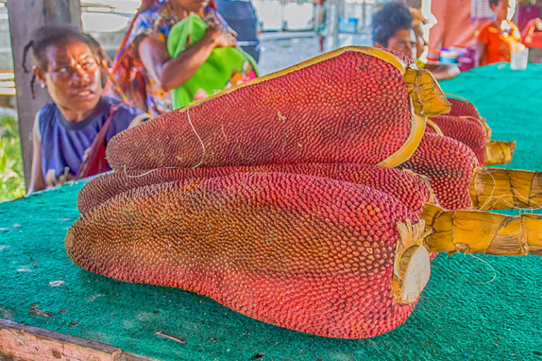 Buah merah papua, sebagaimana namanya merupakan tanaman endemik Papua. Foto: Shutterstock
