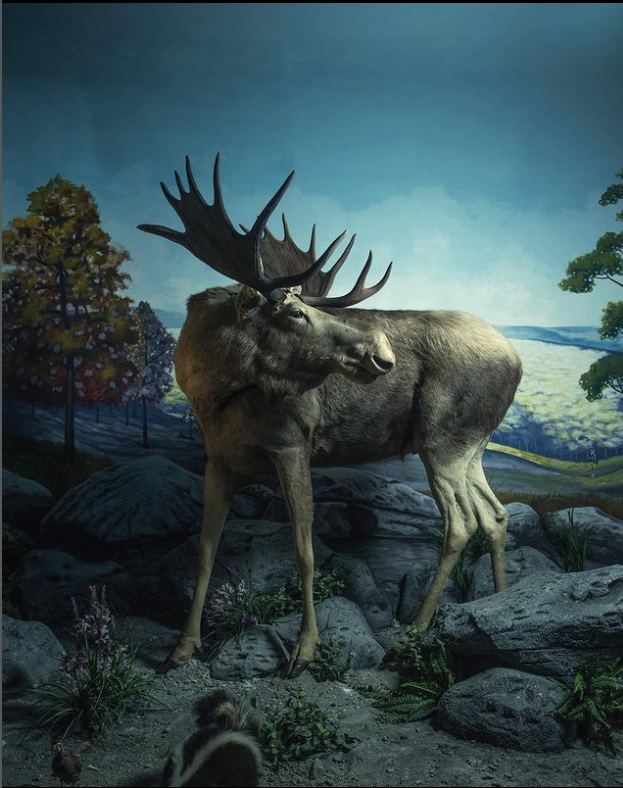 Mengenal jatim park 1 2 dan 3 dan perbedaannya Mengenal jatim park 1 2 dan 3 dan perbedaannya