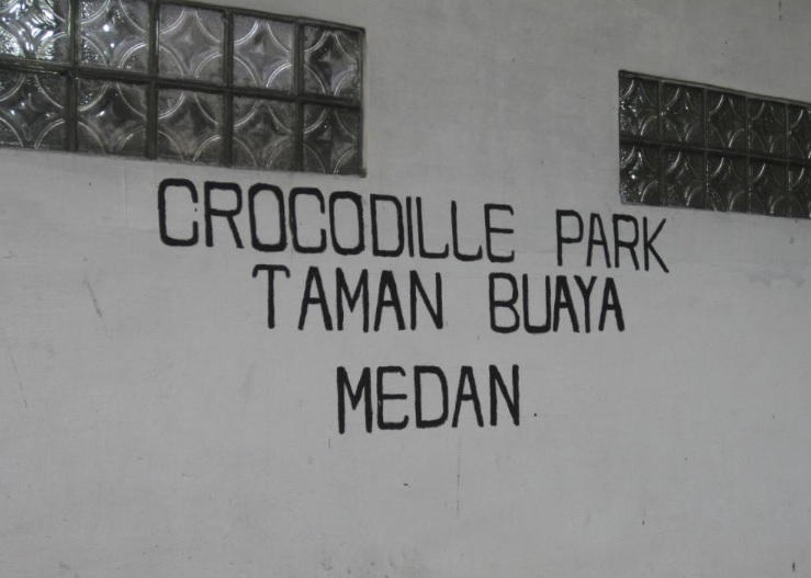 spot foto penangkaran buaya medan spot foto penangkaran buaya medan