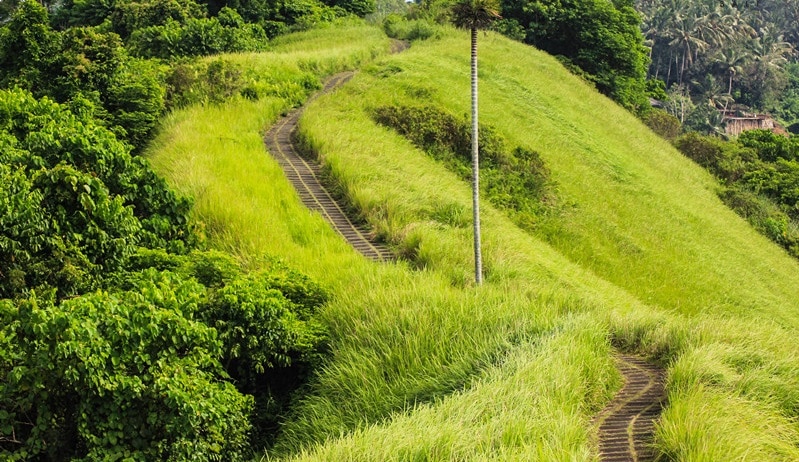 Rute menuju Bukit Campuhan Bali, wisata perbukitan hijau dan menyegarkan serta dapat kamu tempuh dengan mudah di Bali 