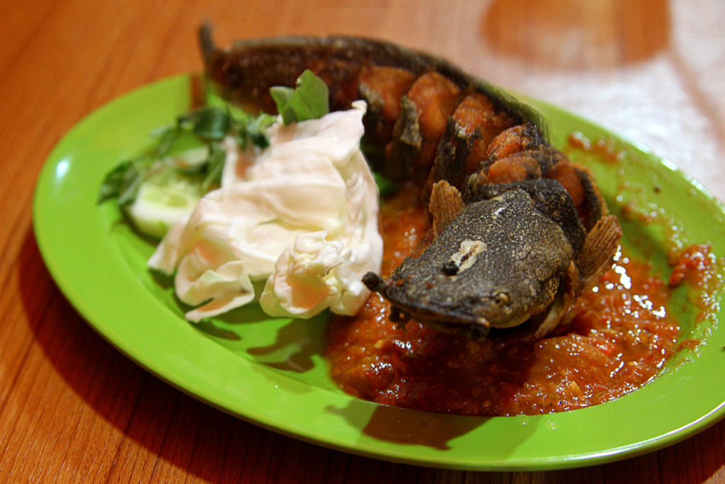 Tampilan pecel lele pada perbedaan pecel lele dan pecel sayur