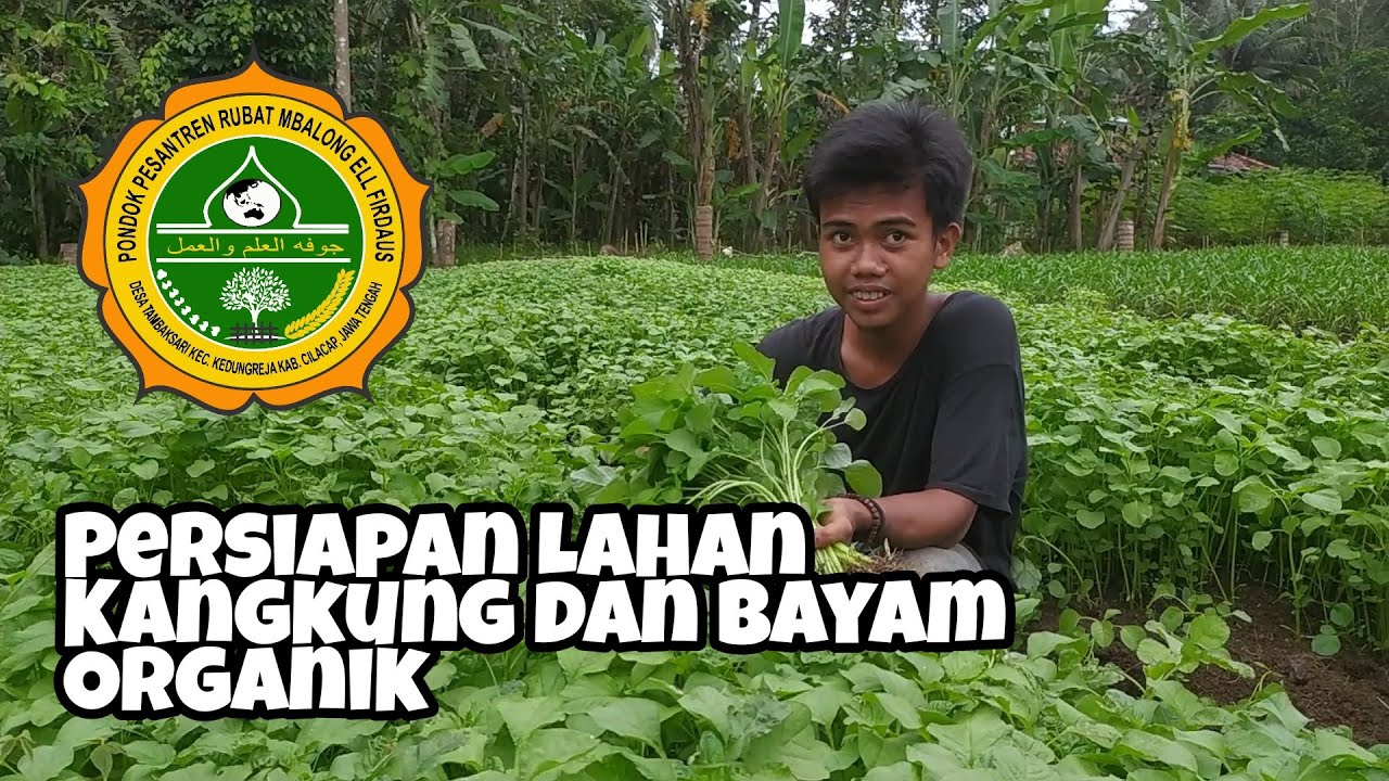 Kebun Pesantren Rubat Mbalong Ell Firdausy (foto: youtube/Pondok Pesantren Rubat Mbalong Ell Firdaus)