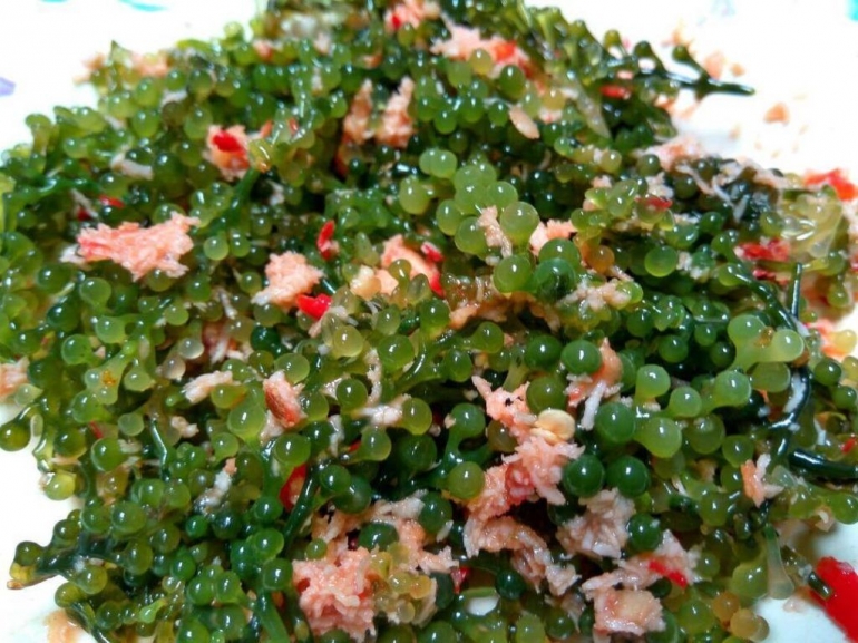 Urap Latoh, olahan rumput laut asal Indonesia yang dapat dikategorikan sebagai superfood