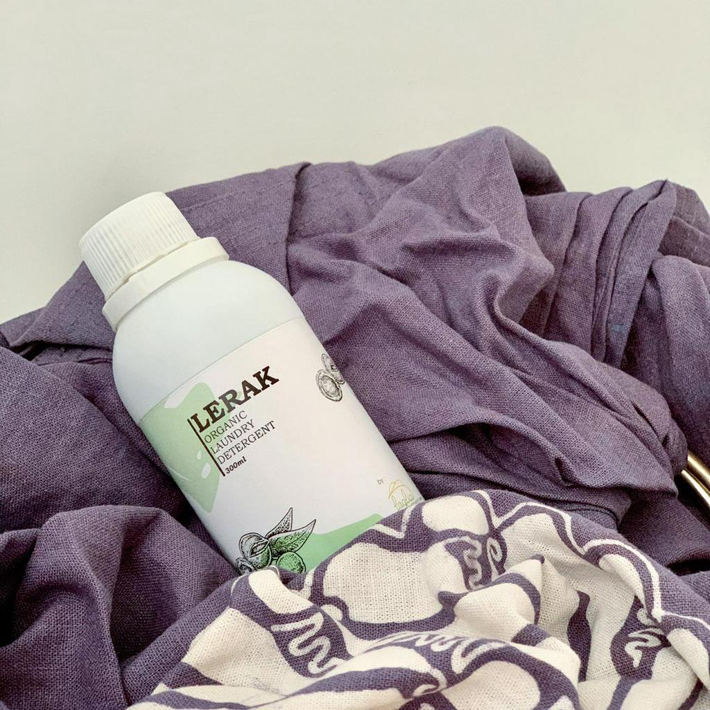 Detergen alami dari Buah Lerak, Buah dari Indonesia Good News From Indonesia Detergen alami dari Buah Lerak, Buah dari Indonesia