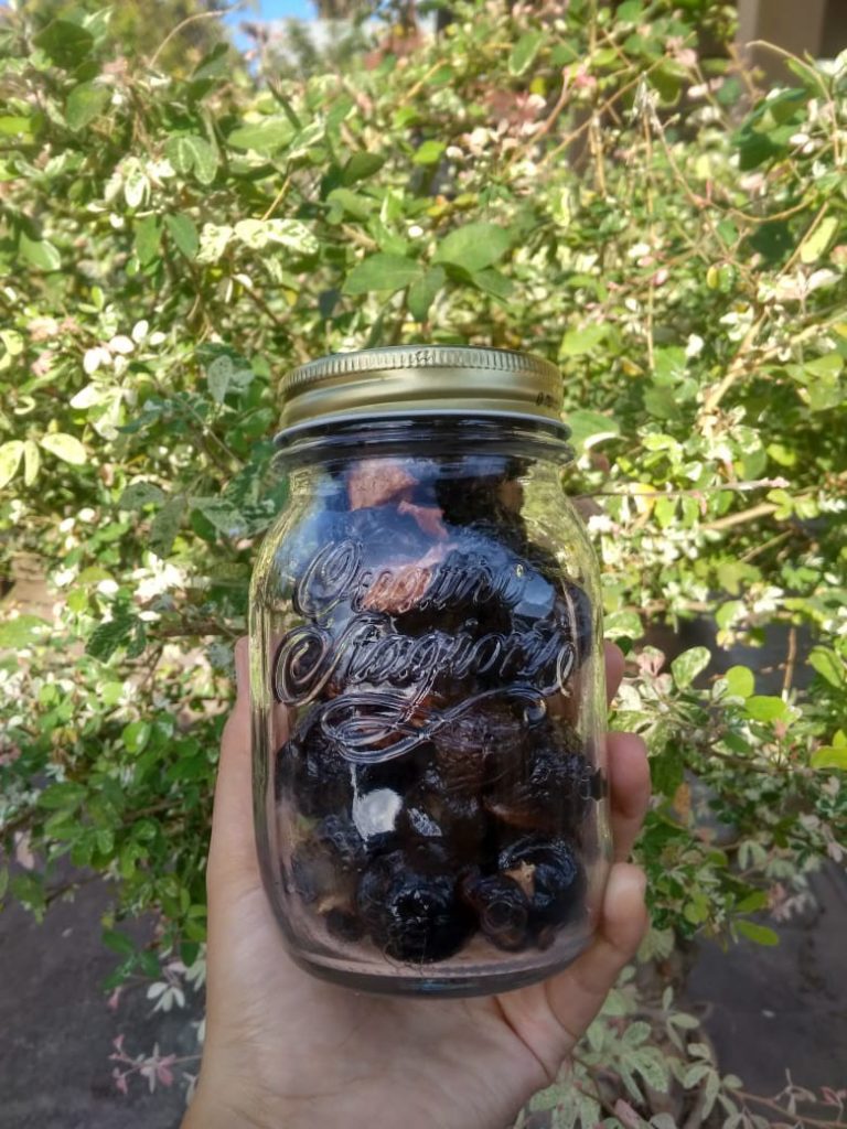 Buah Lerak direndam dalam air Good News From Indonesia Buah Lerak direndam dalam air