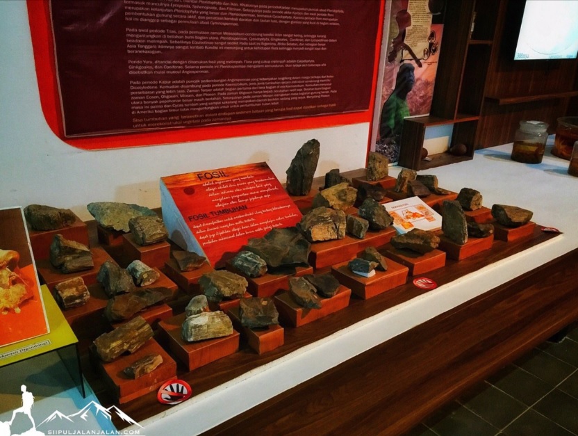museum nasional sejarah alam