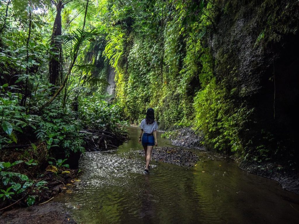 Rute menuju lokasi Air Terjun Tukad Cepung, Wisata Alam Tersembunyi Di Bali