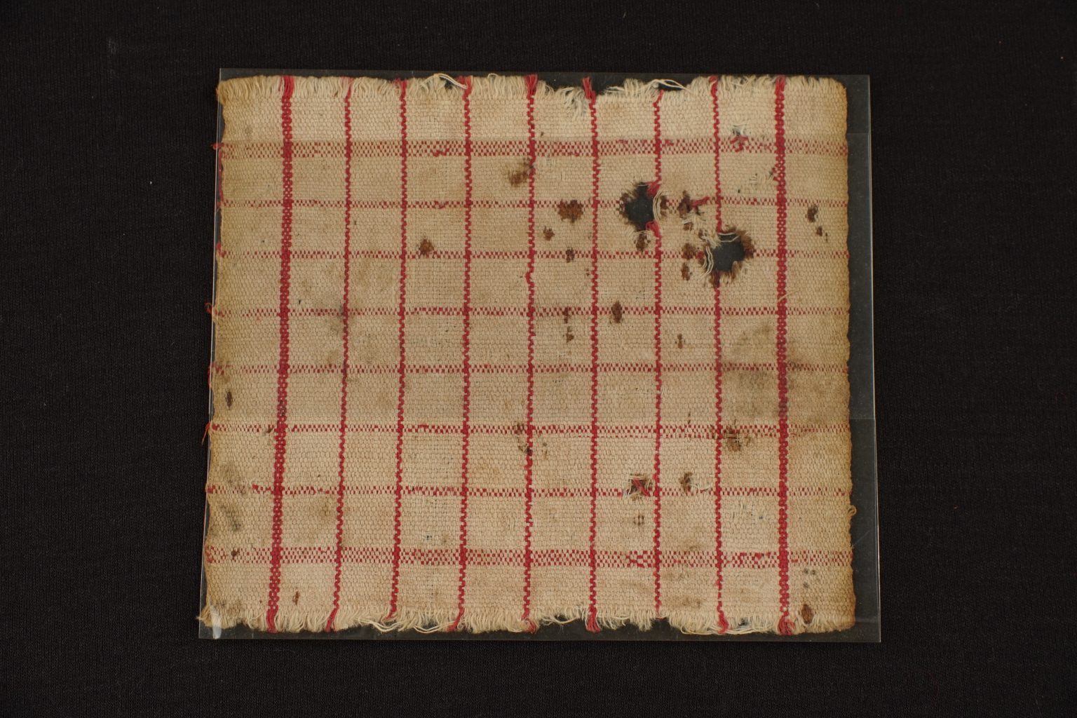 Lembar uang kampua yang pertama kali diperkenalkan Ratu Bulawambona | museummputantular.com
