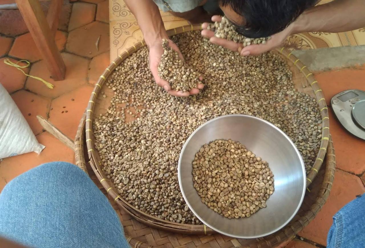 Kopi Pesisir | Jaeni Solihun (Google Maps)