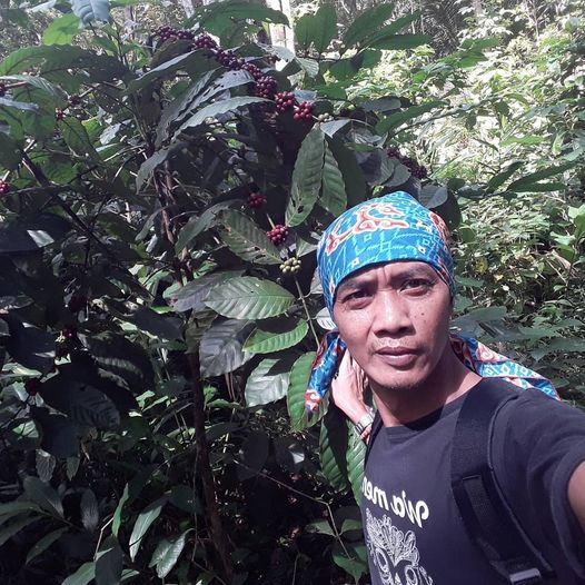 Yuridulloh di kebun kopi miliknya | Yuam Roasted Coffee (Facebook)