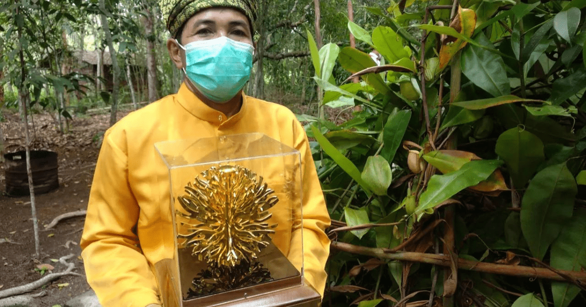 Mengenal Pak Sadikin, Founder Eduwisata Arboretum Gambut Marsawa di ...