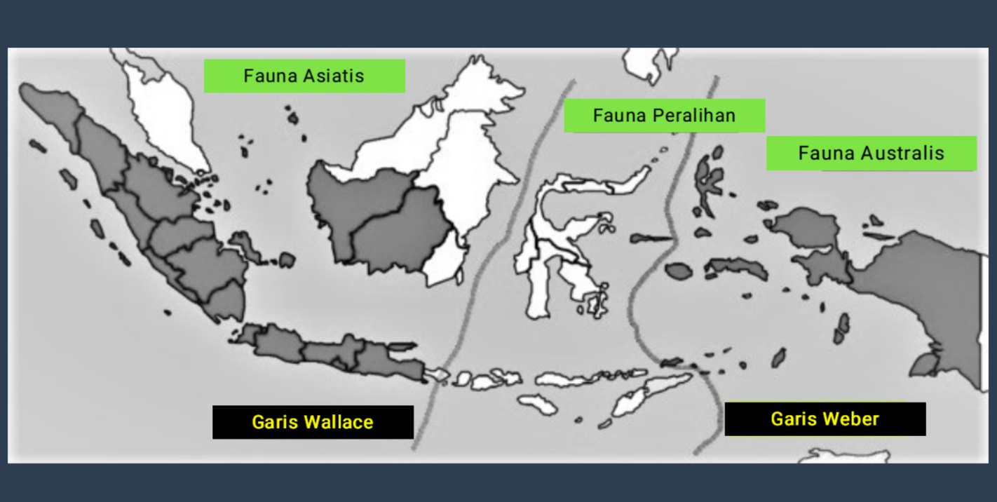 Peta persebaran fauna zona australis