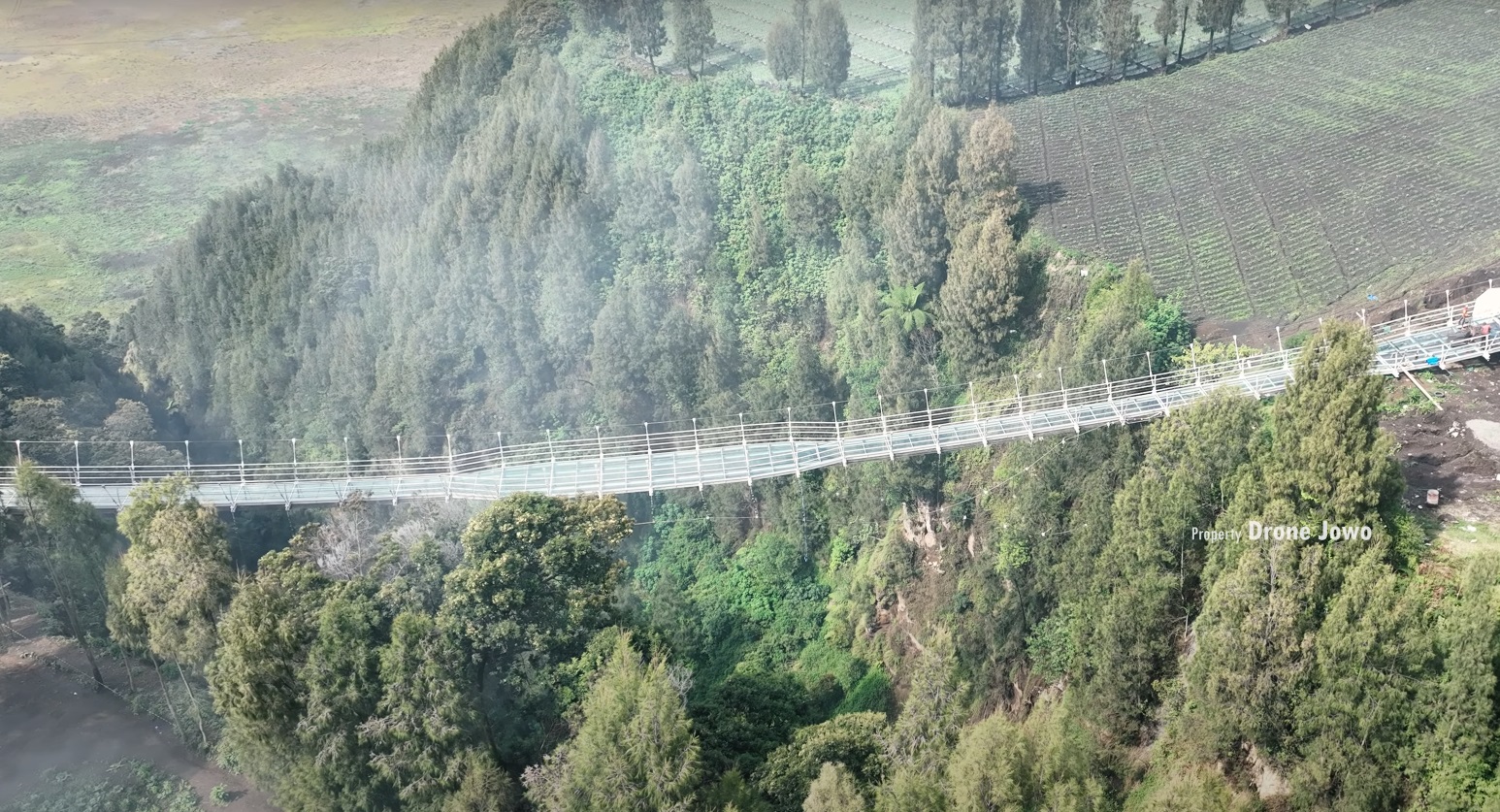 Pemandangan di atas Jembatan Kaca Bromo