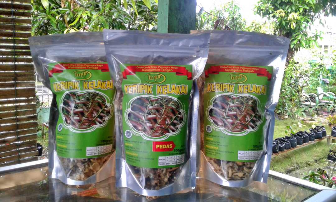 Keripik Kelakai sebagai camilan khas Masyarakat Dayak daerah Kapuas, Kalimantan Tengah (foto: wordpress.com/dedewkrispikspky)