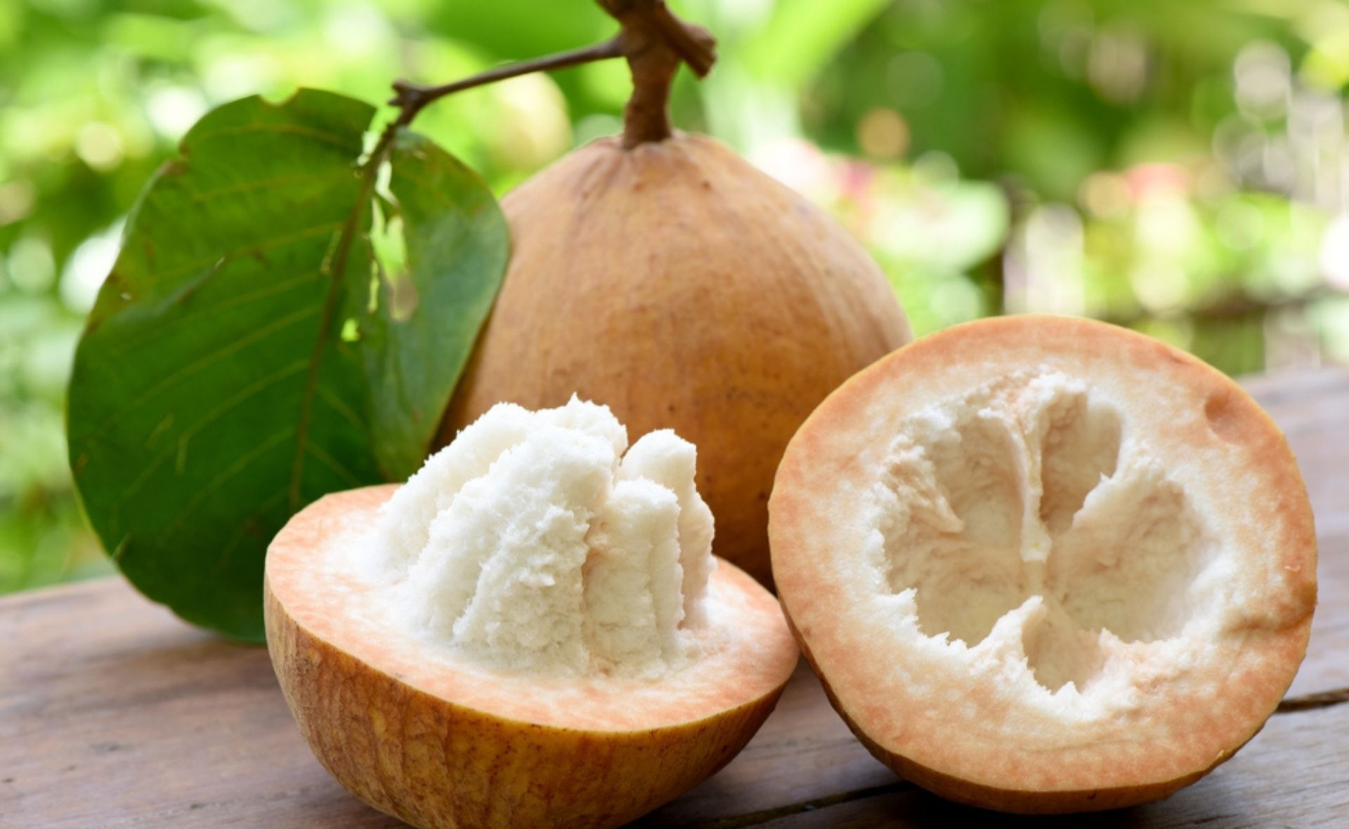 Buah Kecapi memiliki kulit buah yang tebal dan daging yang lembut