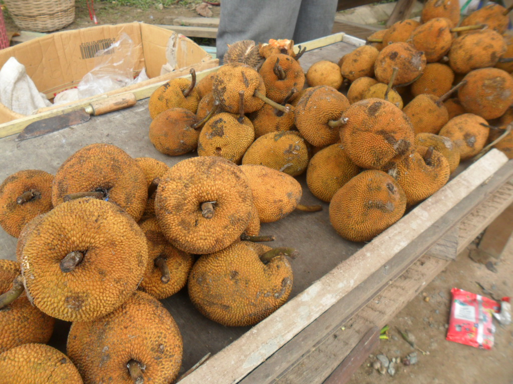 Buah Keledang Kalimantan yang mirip dengan Nangka dari Famili Moraceae