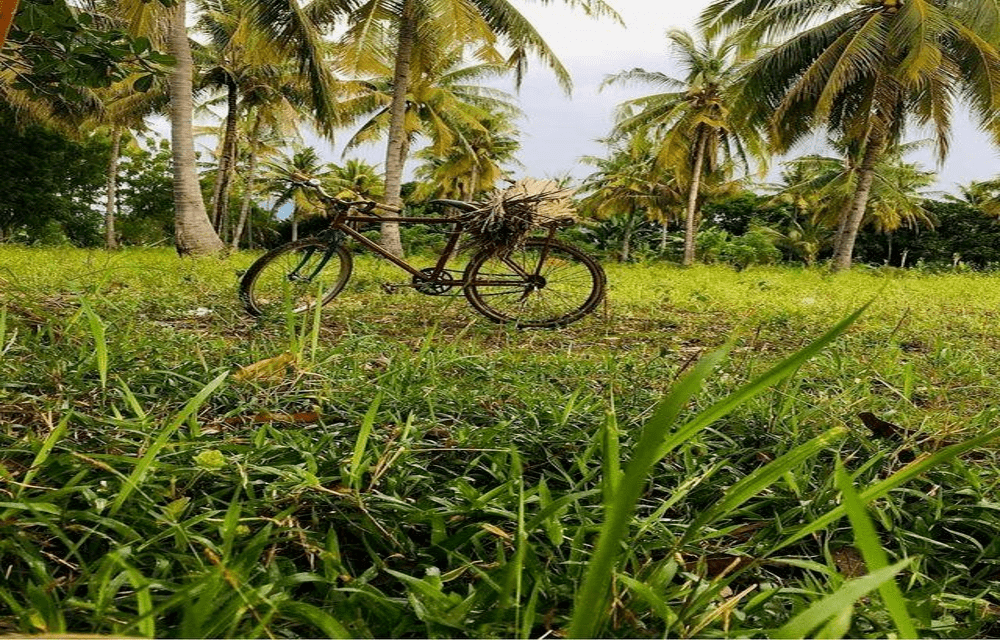 foto sepeda ontel