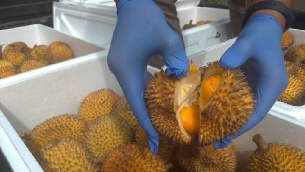 Manfaat kesehatan mengkonsumsi Buah Lai