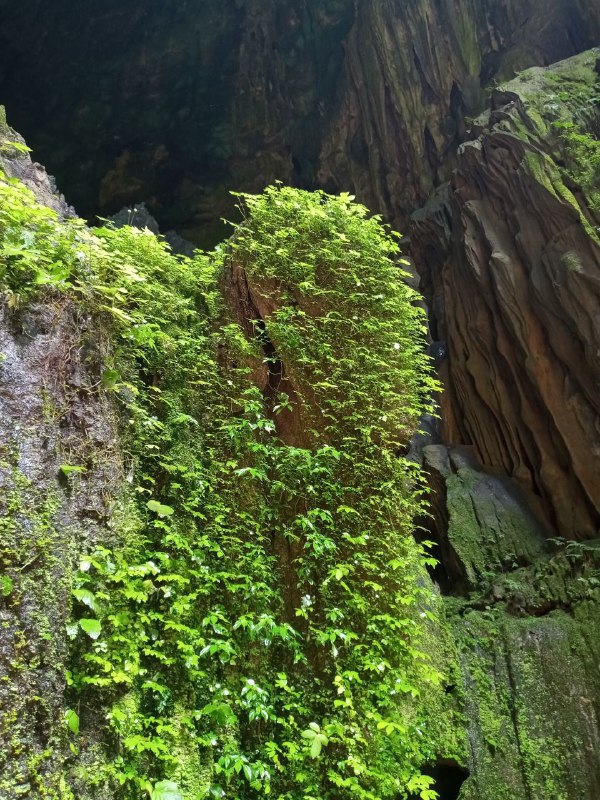 Gua Batu Napallicin | Foto: Sumber Pribadi