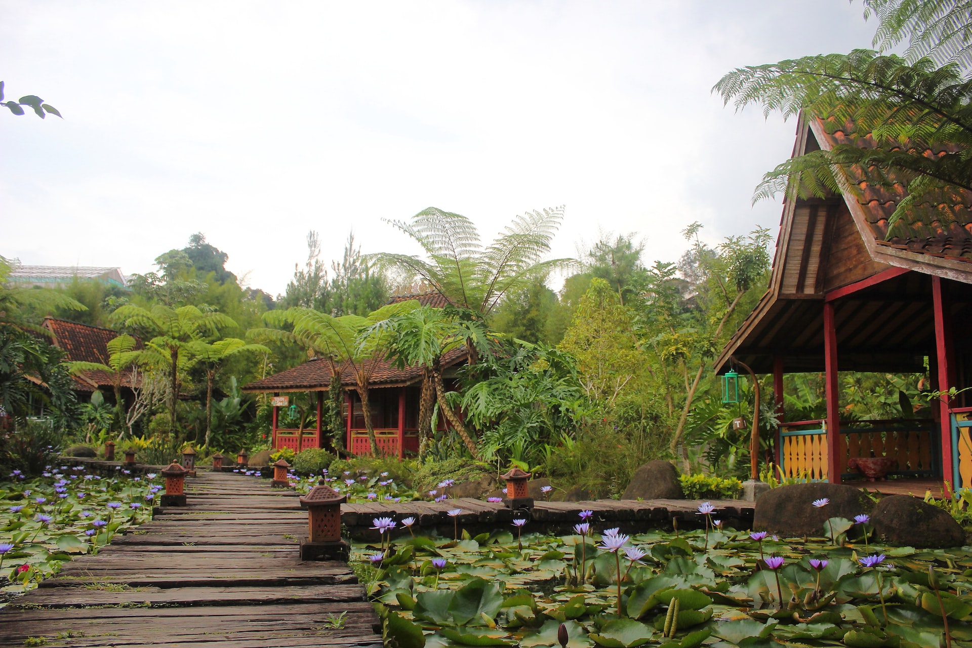 Minimalis dan menyatu dengan alam. Foto: Yudhi Prasetya/Unsplash