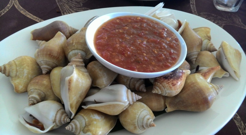 Siput Gonggong - foto: Dok Okezone