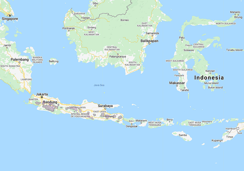 Persebaran Burung Hantu Celepuk Jawa, spesies burung hantu kecil dibandingkan burung hantu lainnya menjadi burung endemik Pulau Jawa