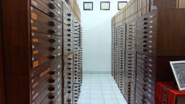 Lemari tempat menyimpan kupu-kupu kolesi laboratorium (Foto: Mongabay)