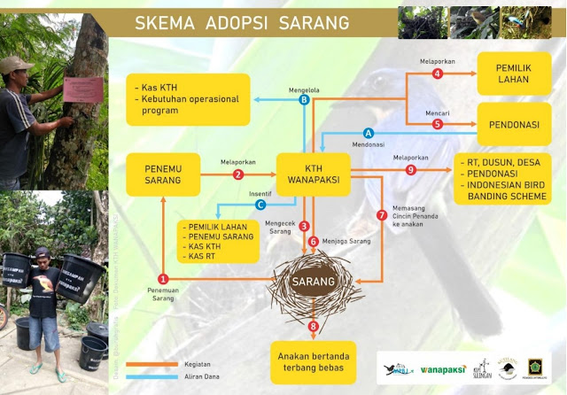 Skema Adopsi Sarang | Dokumentasi oleh KTH Wanapaksi