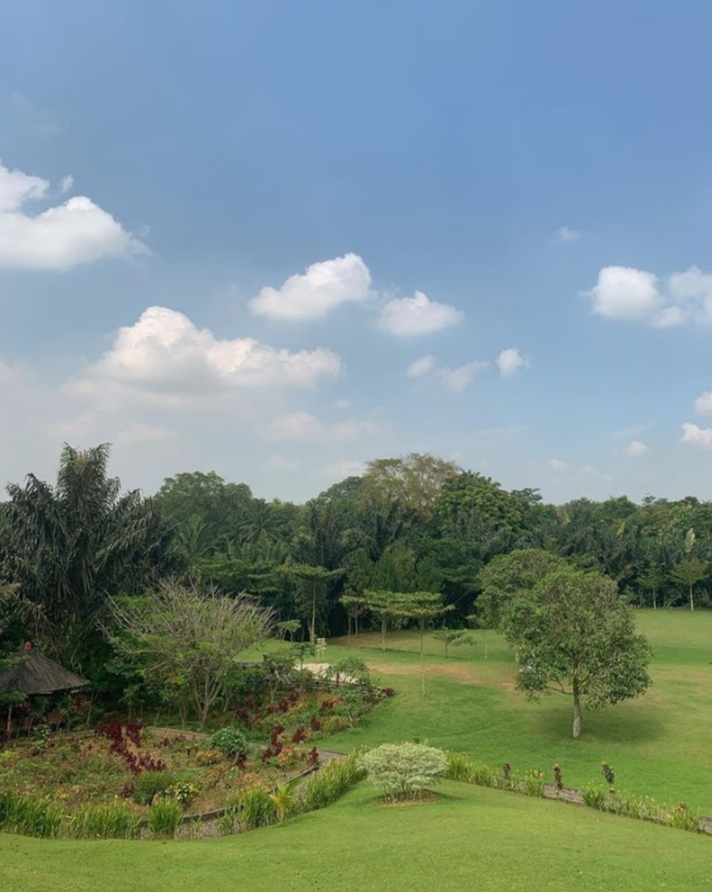 Hamparan padang rumput hijau nan menawan khas T-Garden