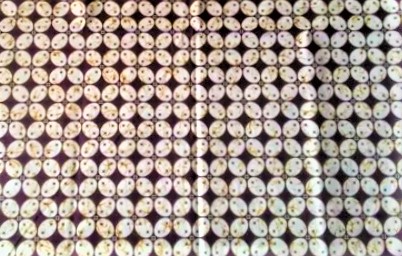 kawung bribil kawung bribil