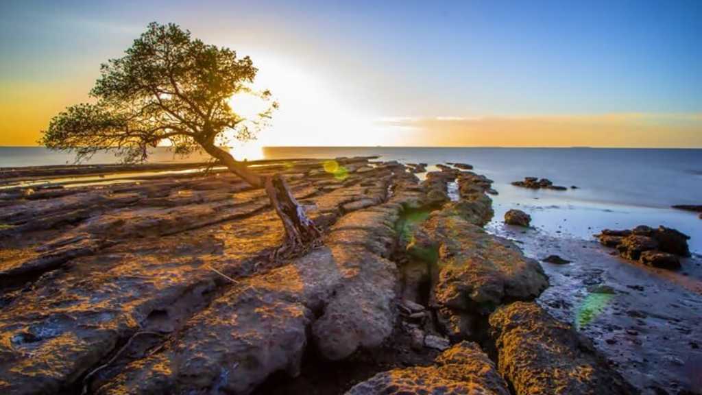 Foto: celebesmedia.id
