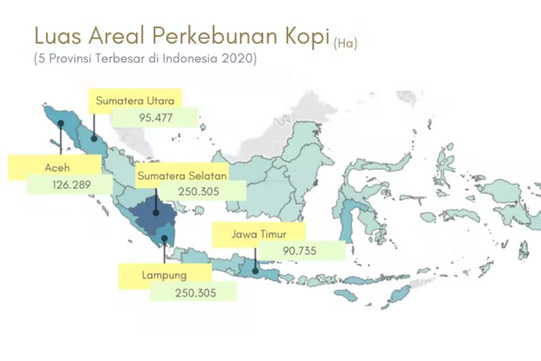 Peta penghasil kopi | BPS diolah