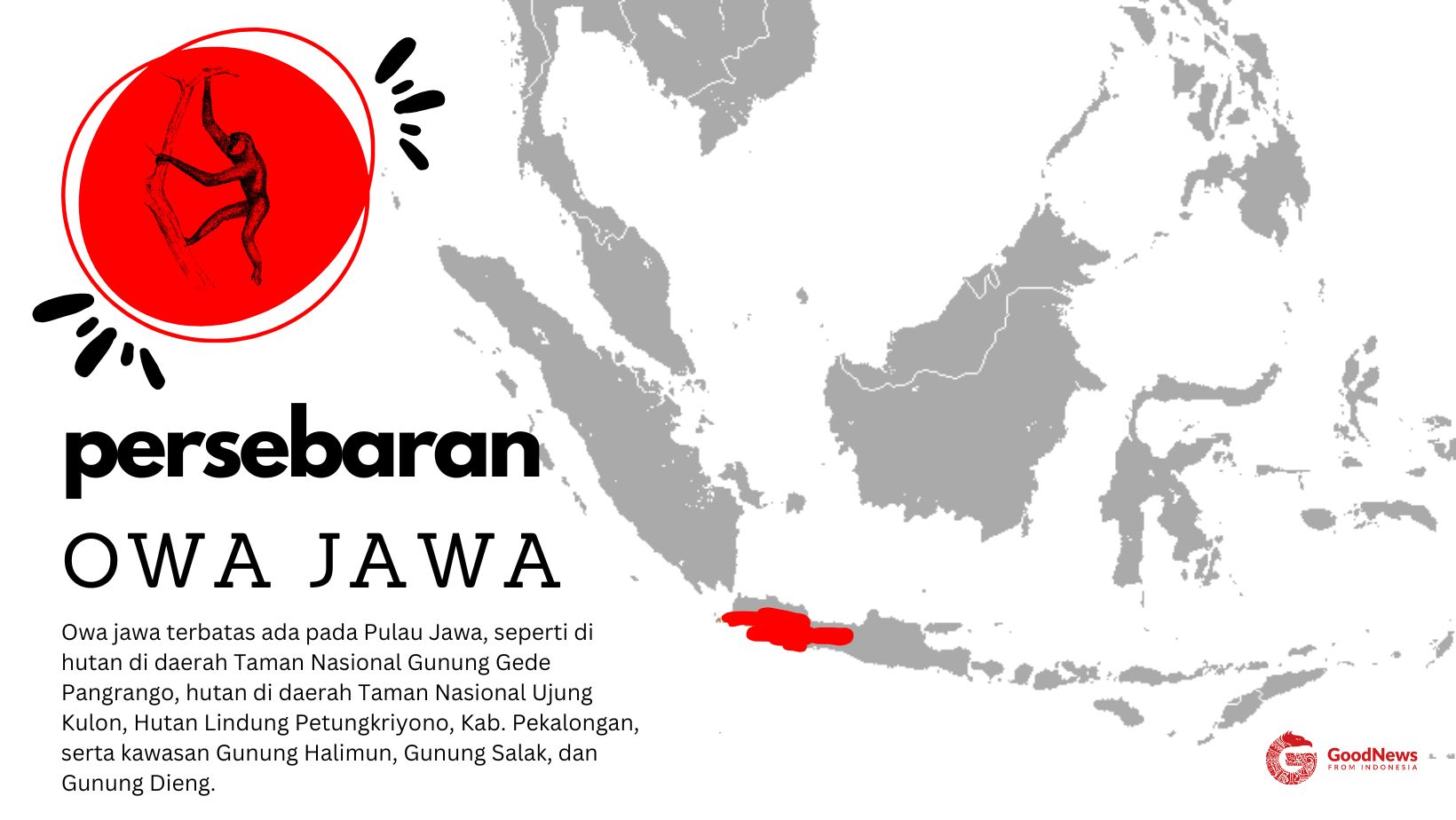 persebaran owa jawa