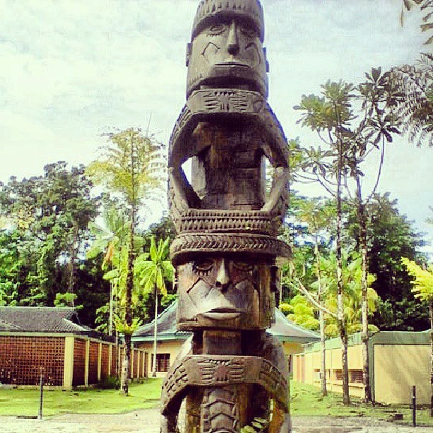 suku asmat tradisi dan sejarah