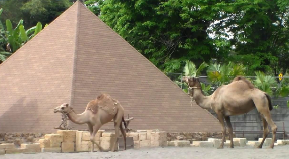 kebun biatang gembiraloka