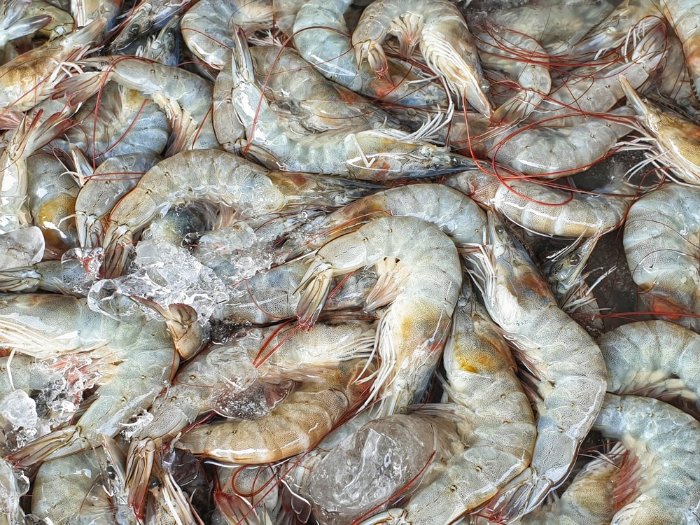 Udang banana | nlinnlin/Shutterstock