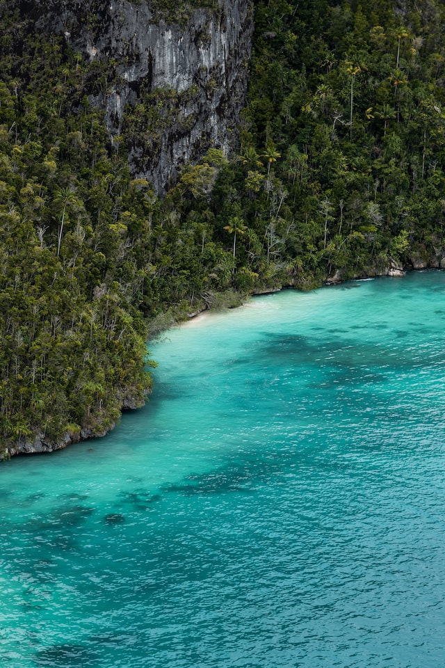 raja ampat papua, sejarah dan keunikan alamnya