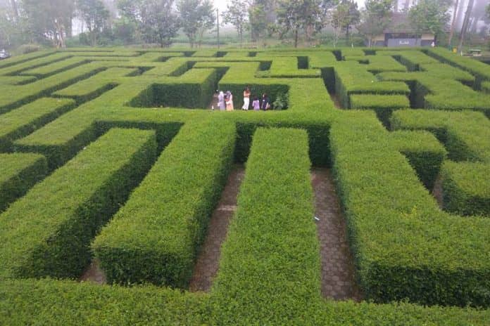 Labirin di Taman Wisata Jambi Paradise