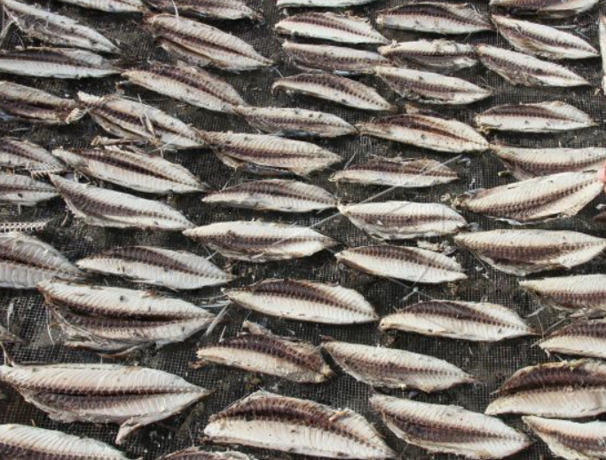 oleh-oleh aceh