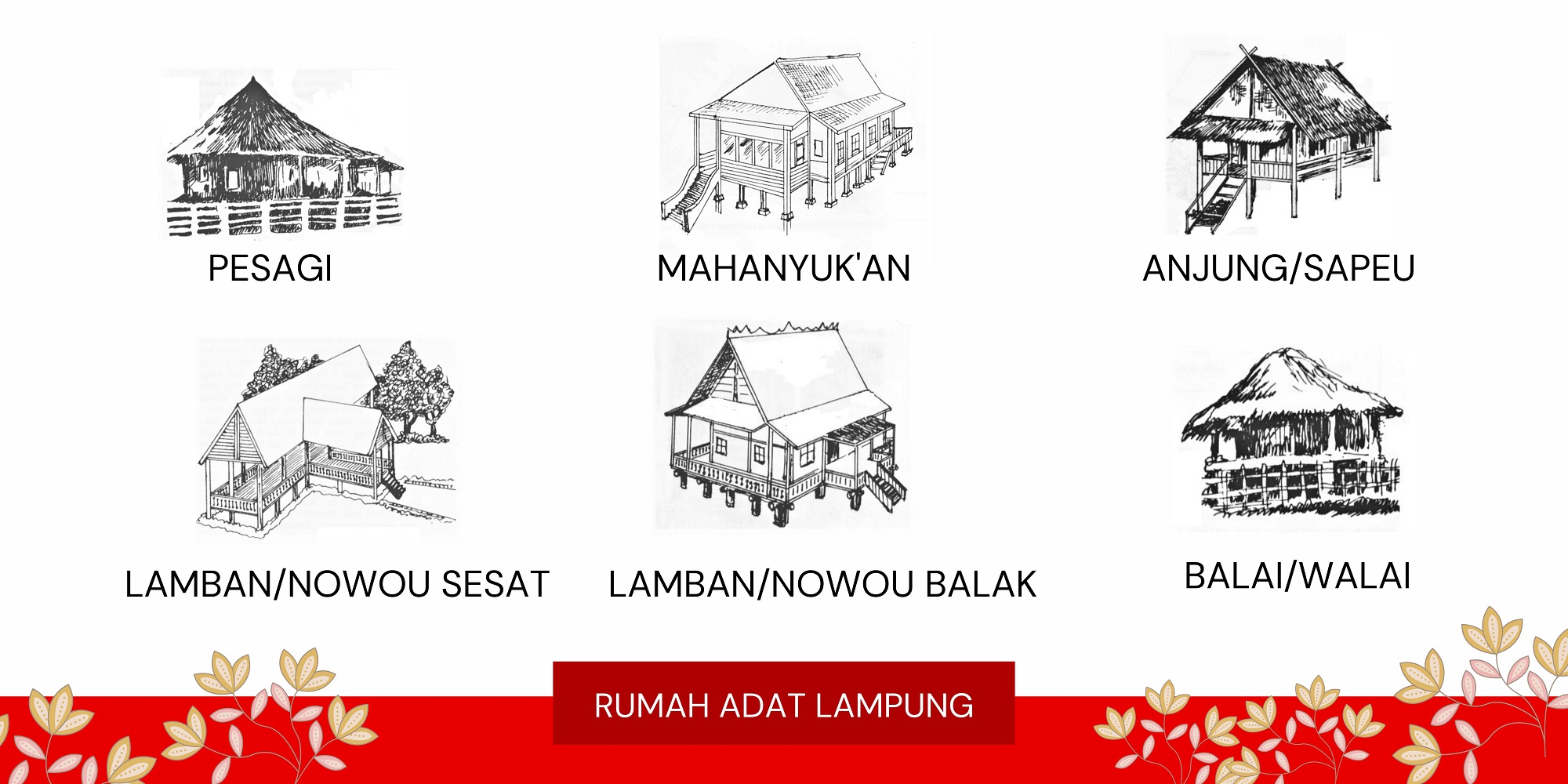 contoh sketsa gambar jenis rumah adat lampung